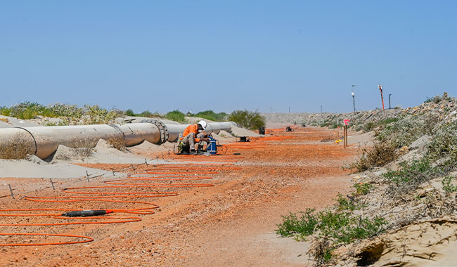 Induced polarisation (IP) survey for mineralisation and contamination mapping