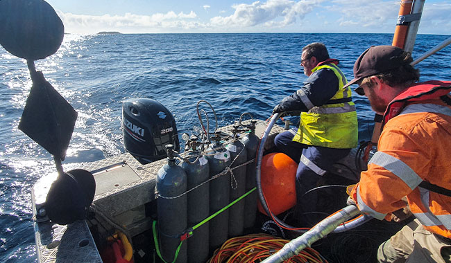Marine seismic refraction survey for seabed investigation