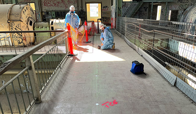 Geophysical survey for structural condition and defect assessment