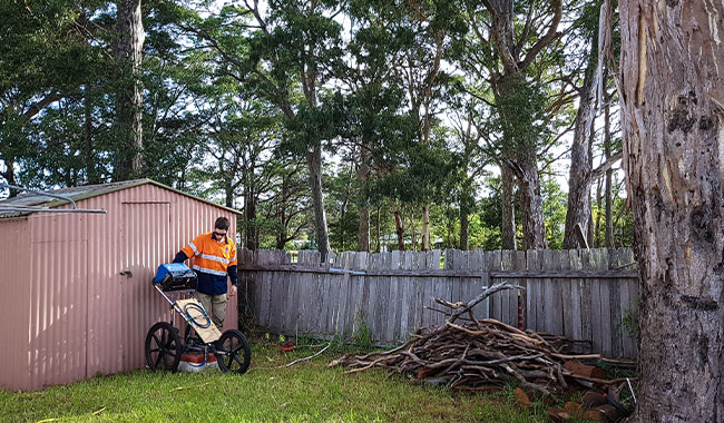 Ground penetrating radar tree root investigation survey